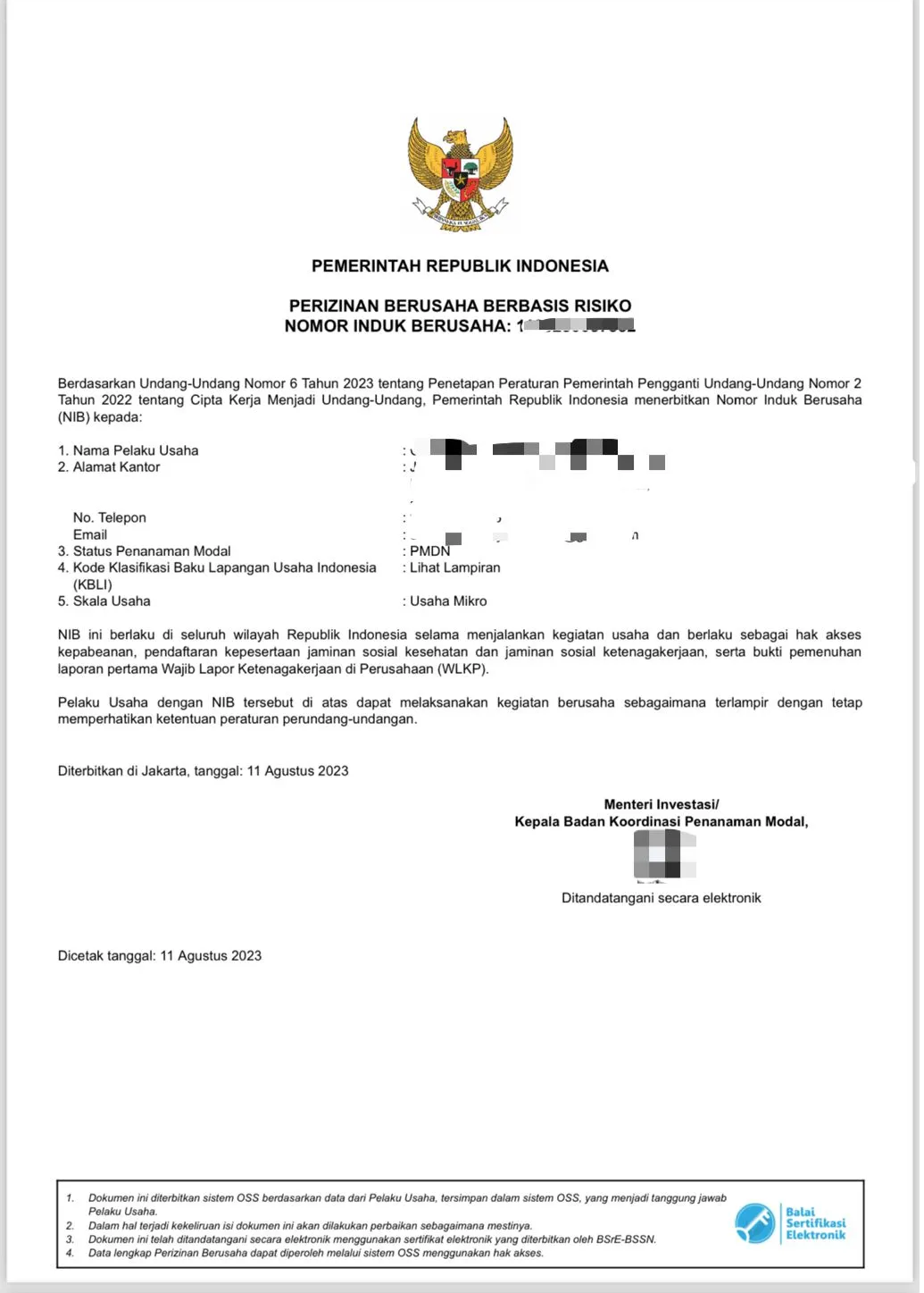 Contoh NIB OSS